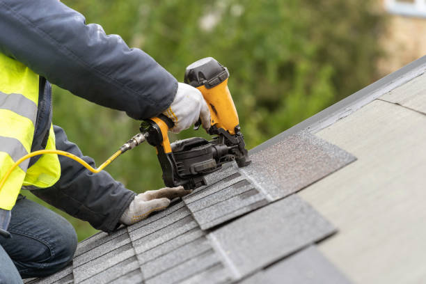 Best Roof Moss and Algae Removal  in Mayo, MD
