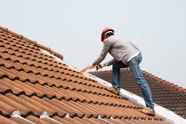 Mayo, MD Roofing services Company