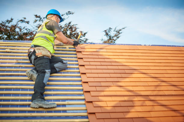 Best Asphalt Shingle Roofing  in Mayo, MD