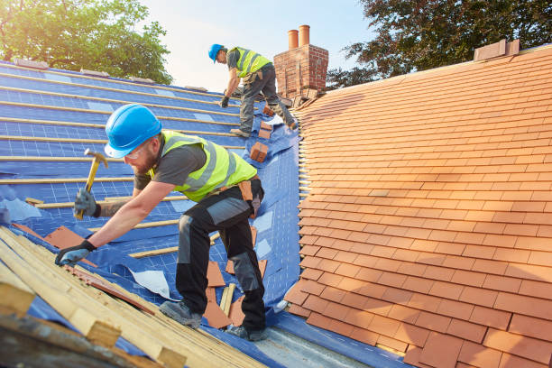 Best Skylight Installation and Repair  in Mayo, MD